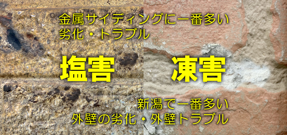 凍害と塩害の写真