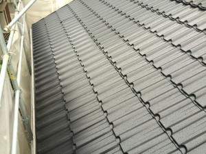 IMG_0410[1]