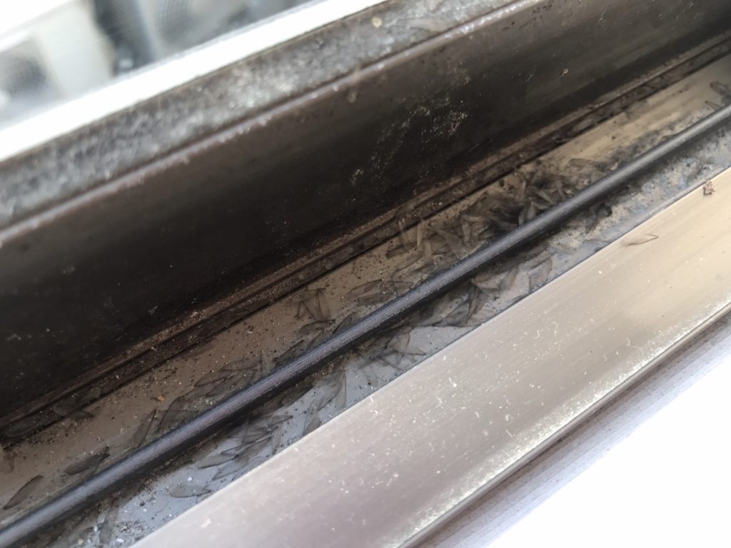写真：窓のサッシにシロアリの羽が落ちている