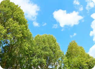 環境にやさしい