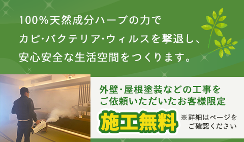 写真：塗装をしている男性スタッフ