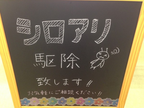 新潟市でシロアリ退治！！