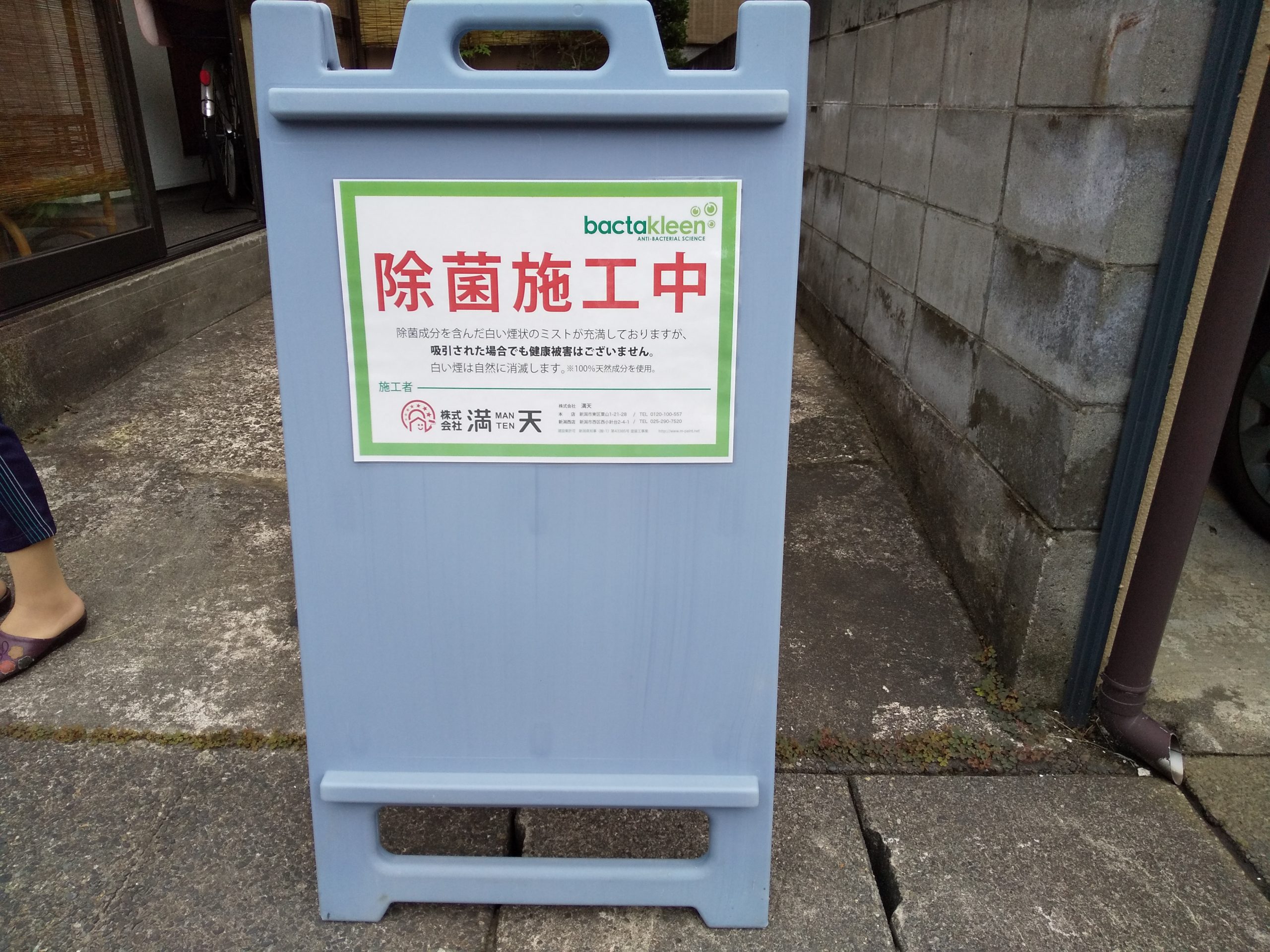 今年もこの季節がやってきました