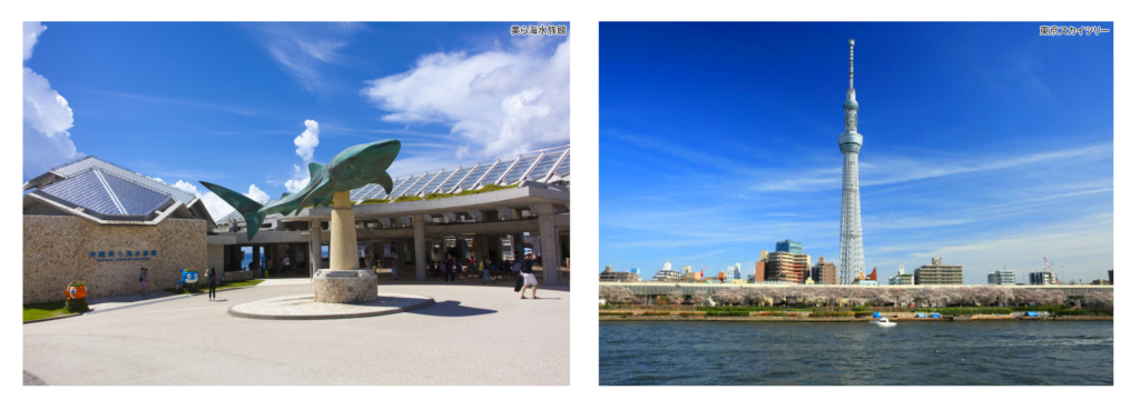 写真：美ら海水族館、東京スカイツリーの写真が2枚並んでいる。