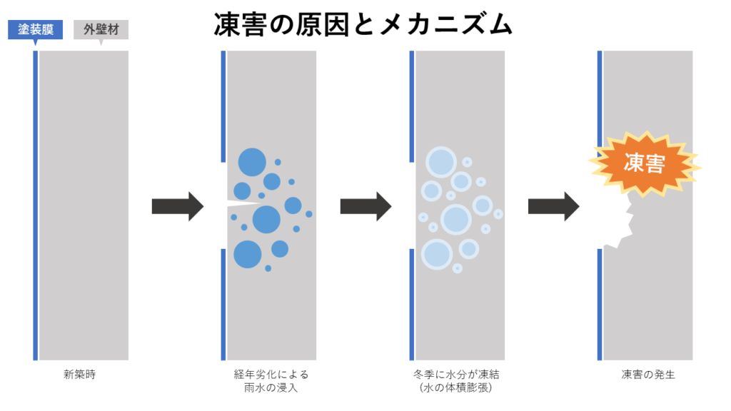 画像：藤賀のメカニズムについての解説