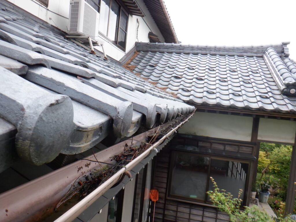 写真：屋根から落ちた葉が溜まっている