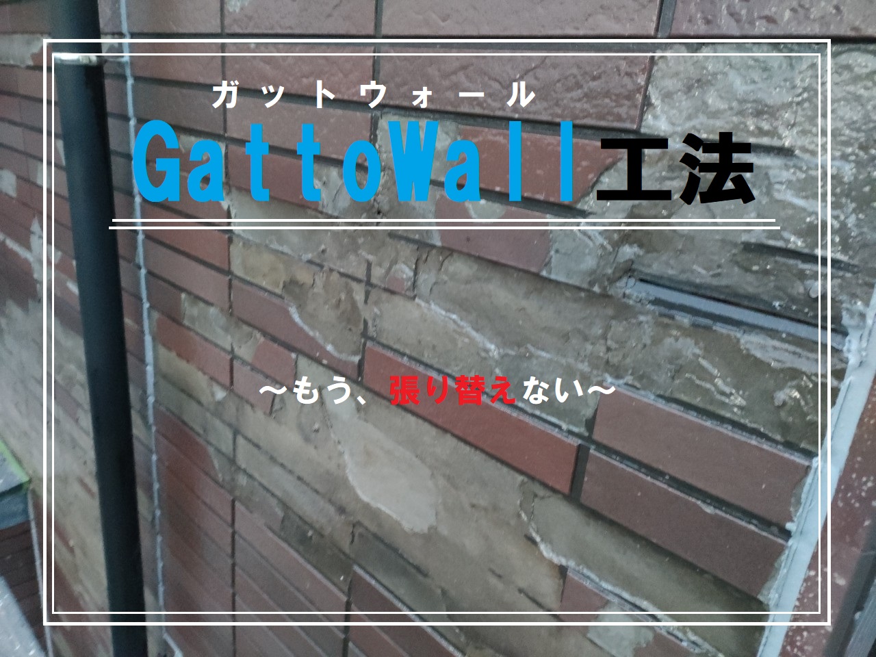 GattoWall工法　～もう、張替えない～