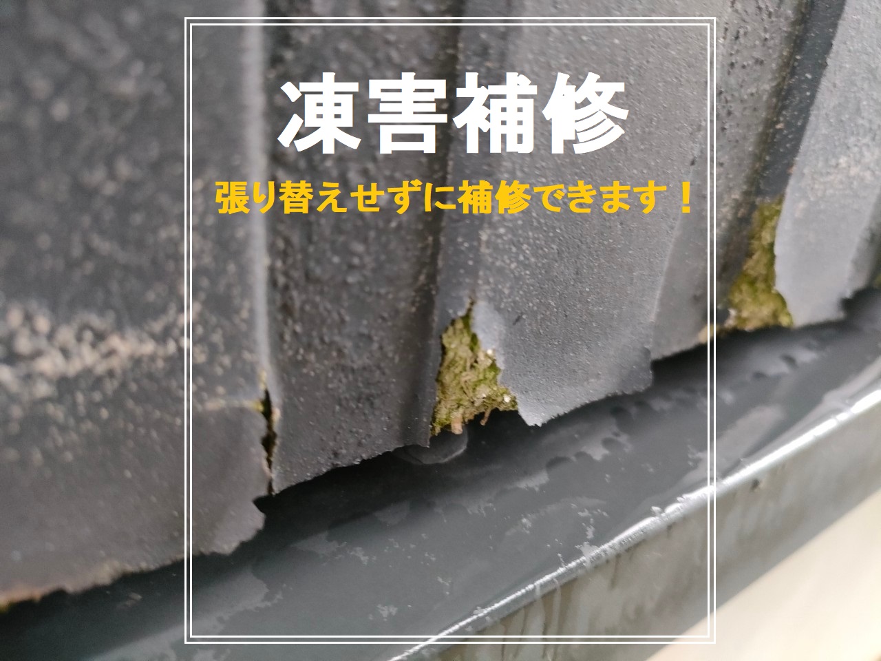 凍害補修　～Gatto Wall工法～