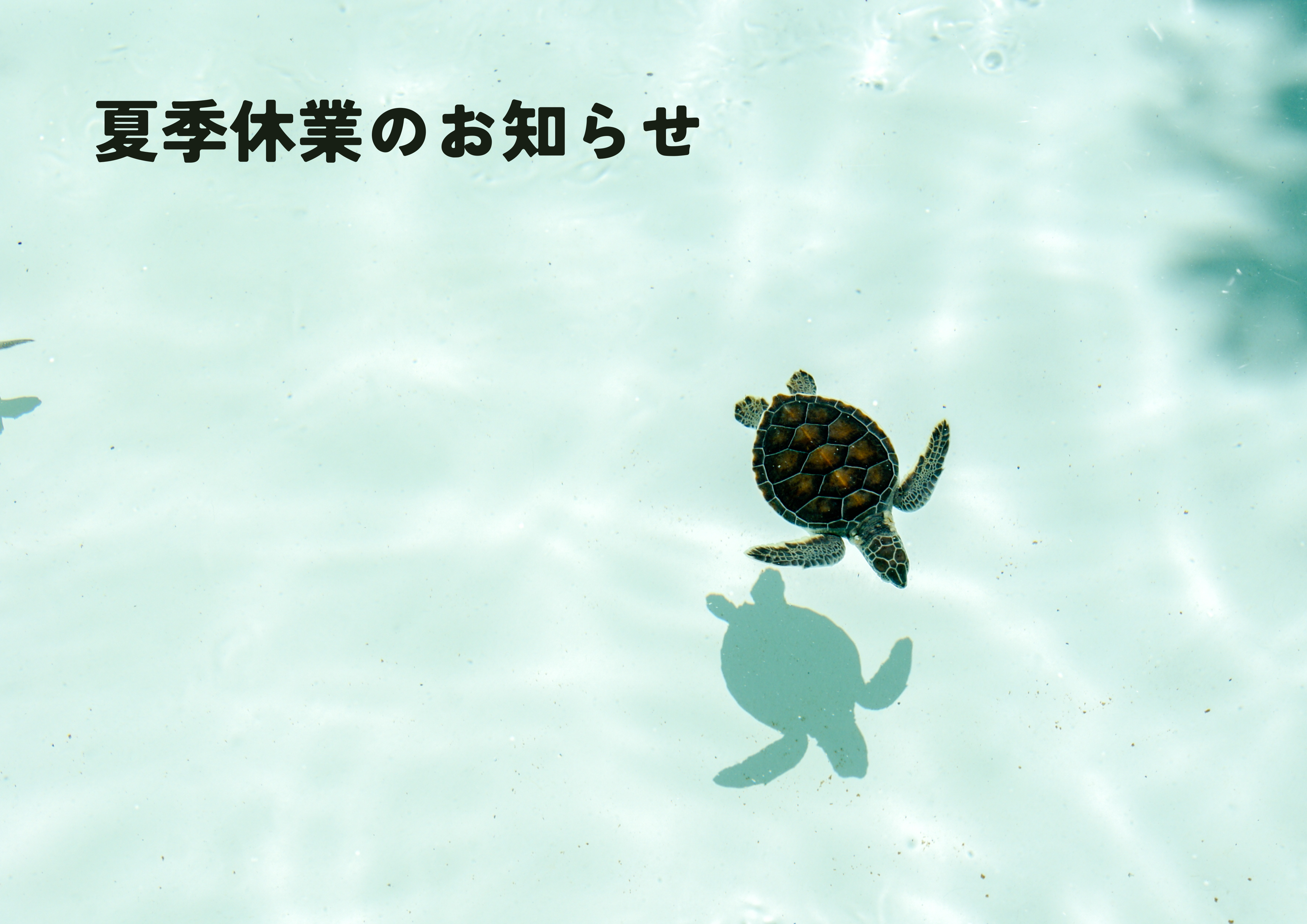 夏季休業のお知らせ
