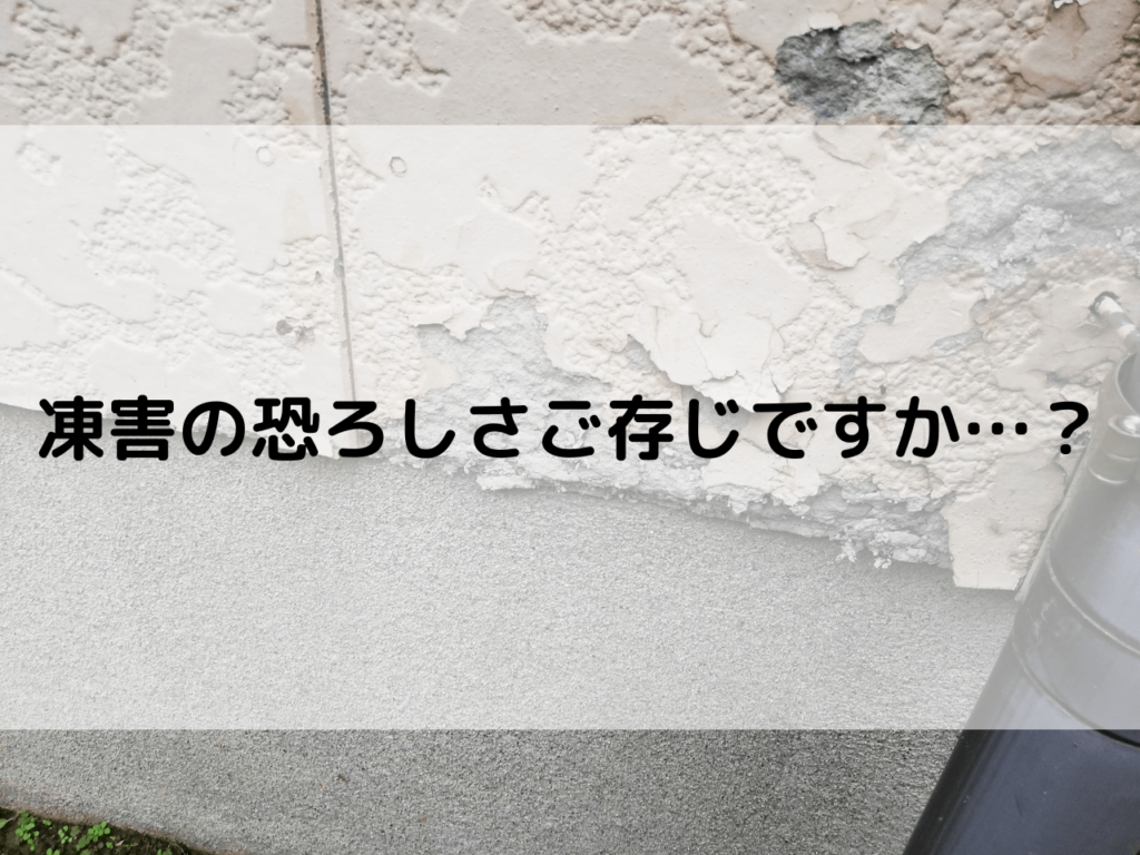 凍害の恐ろしさご存じですか？