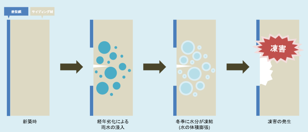 凍害のメカニズム