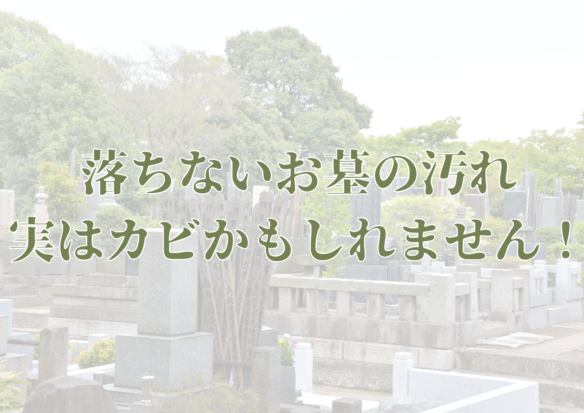 ＊お盆の前に！＊大切なお墓汚れたままになっていませんか？