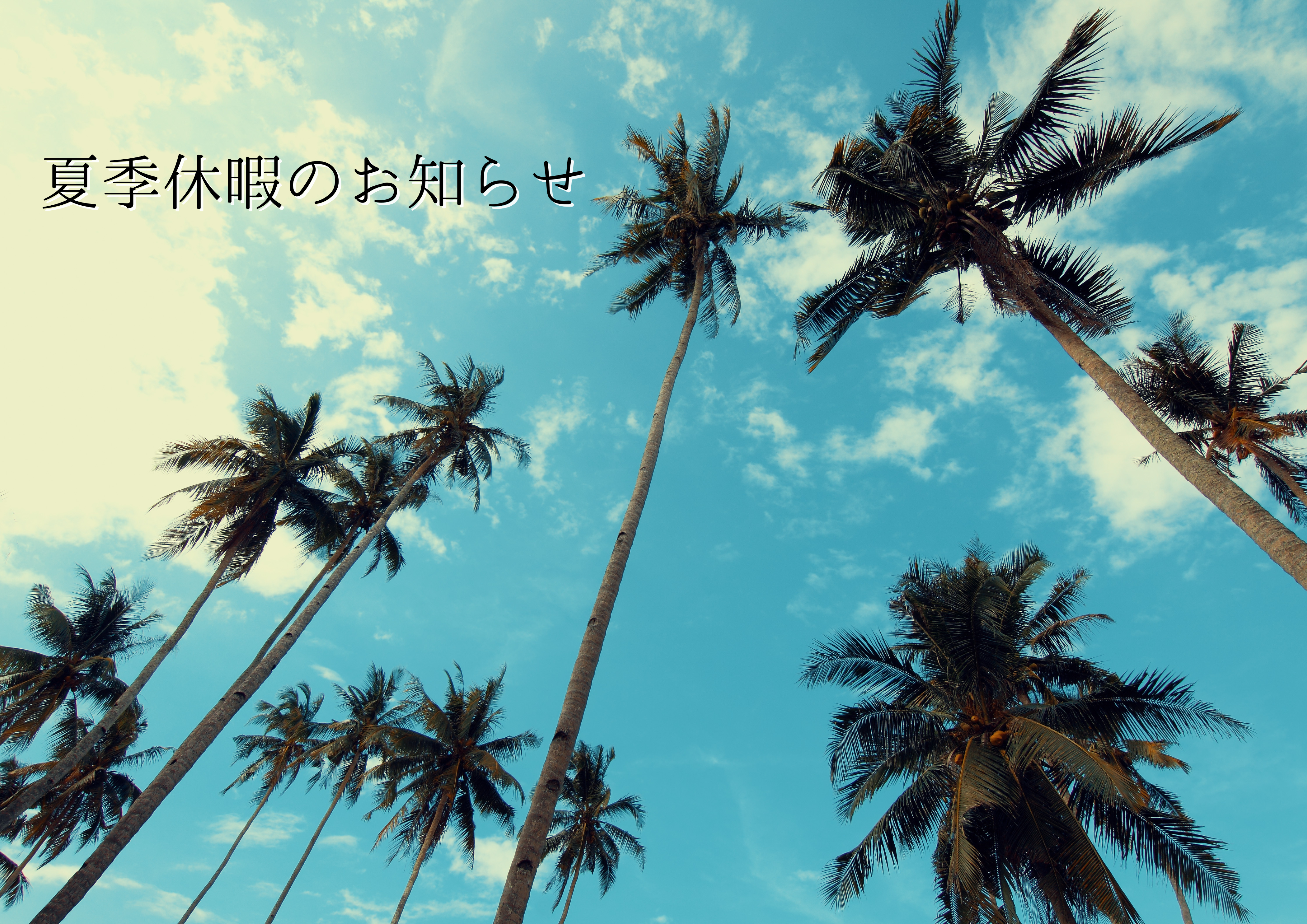 夏季休暇のお知らせ