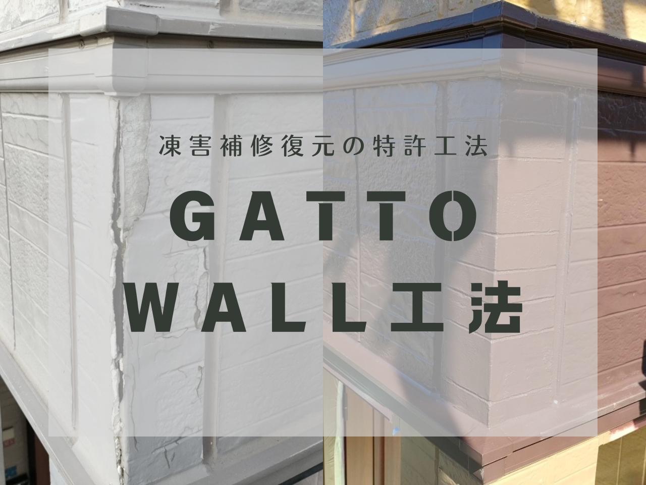 【Gatto Wall工法】をご存じですか？