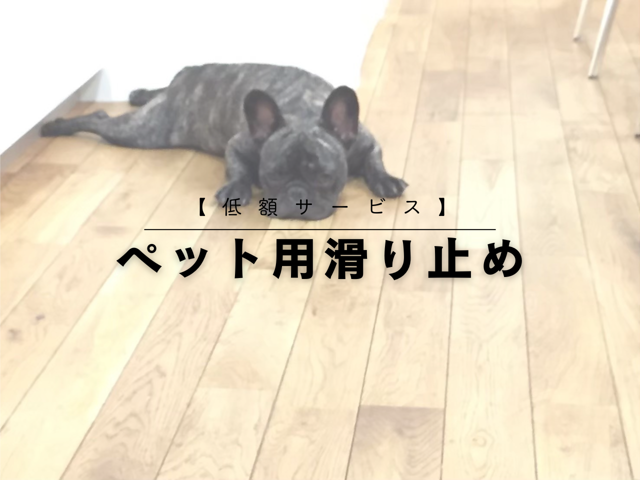 【低額サービス】ペット用滑り止め