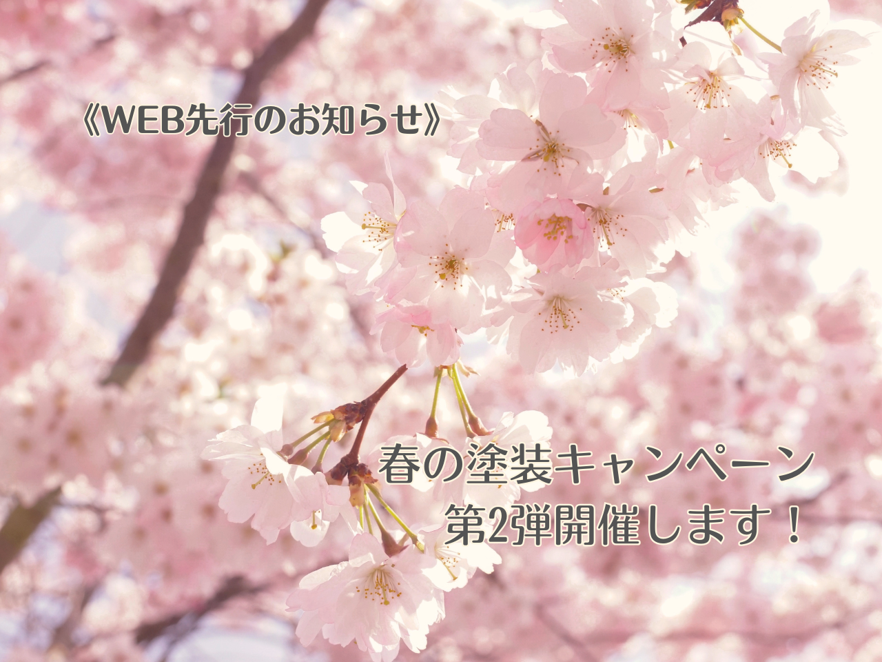 🌷WEB先行のお知らせ🌷4月30日までのおトクなキャンペーン開催中