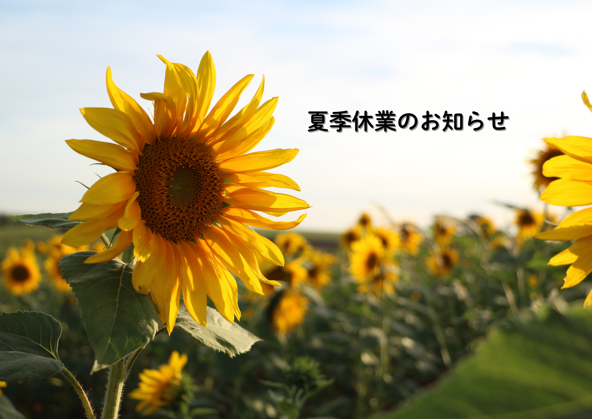夏季休業のお知らせ