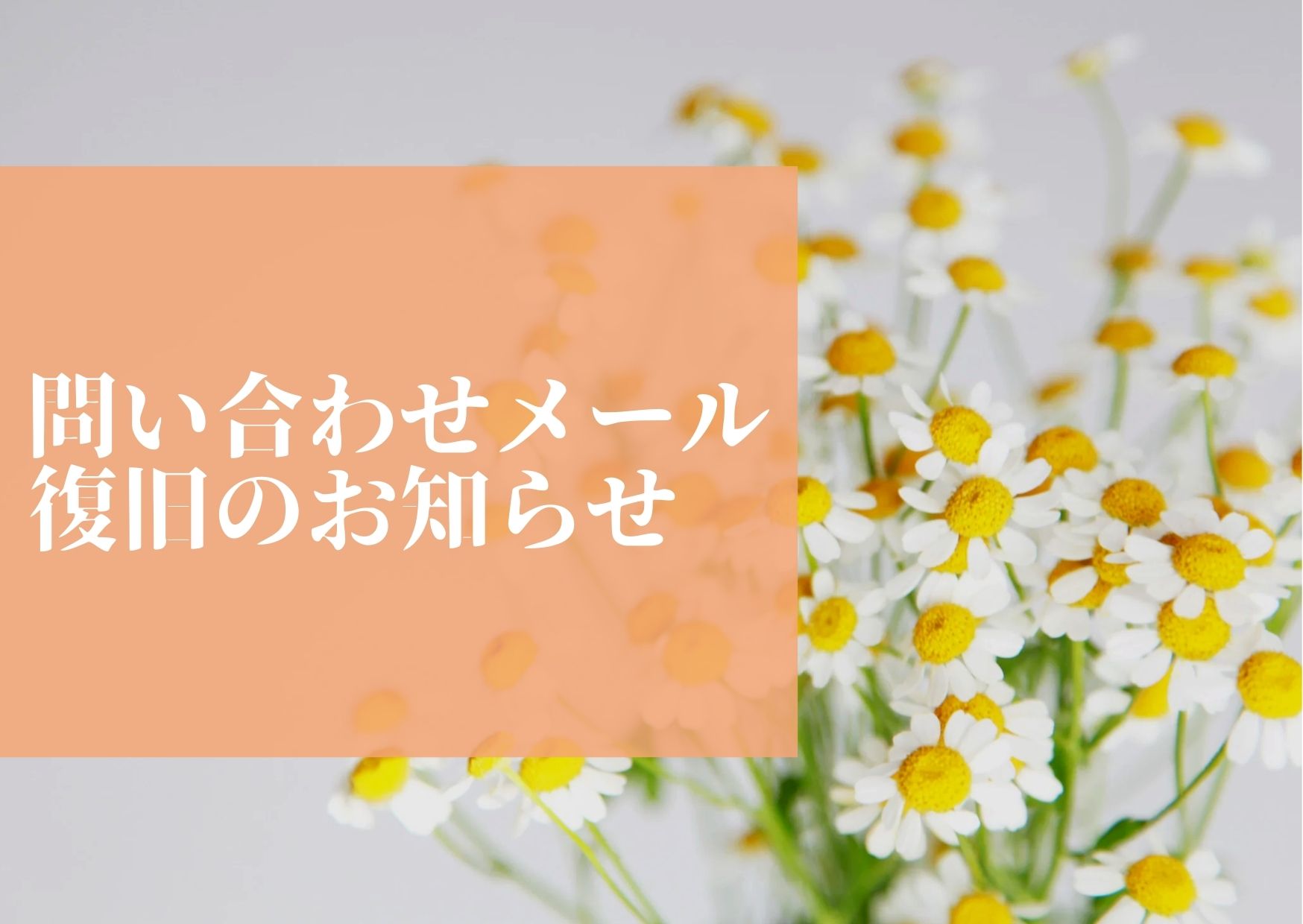メールにてお問合せ下さったお客様へ