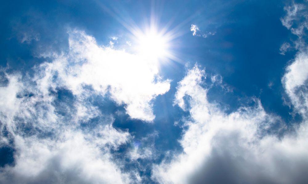 夏の日差しの様子